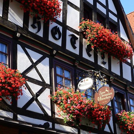 Hotel Zum Braunen Hirschen Bad Driburg Extérieur photo