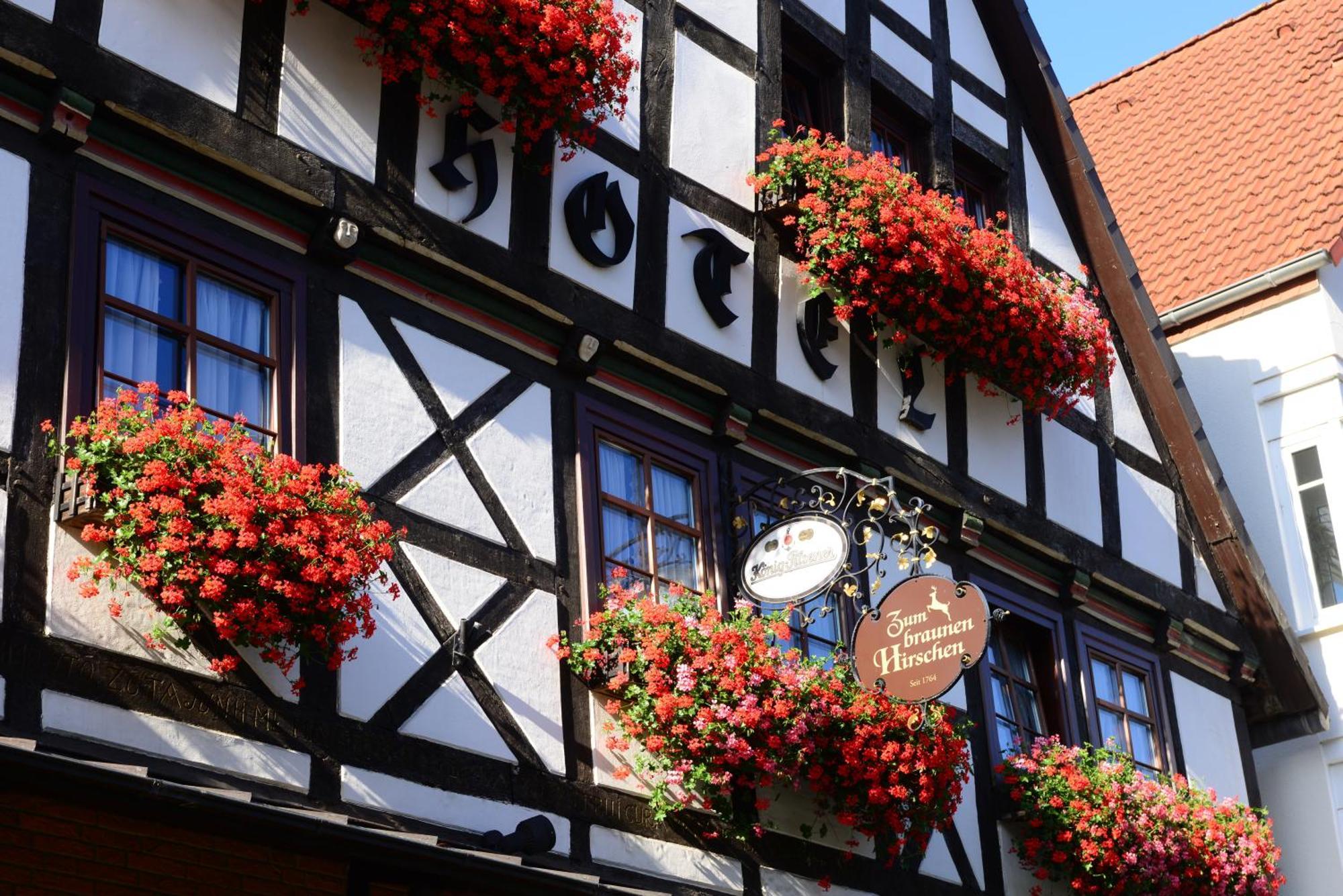 Hotel Zum Braunen Hirschen Bad Driburg Extérieur photo